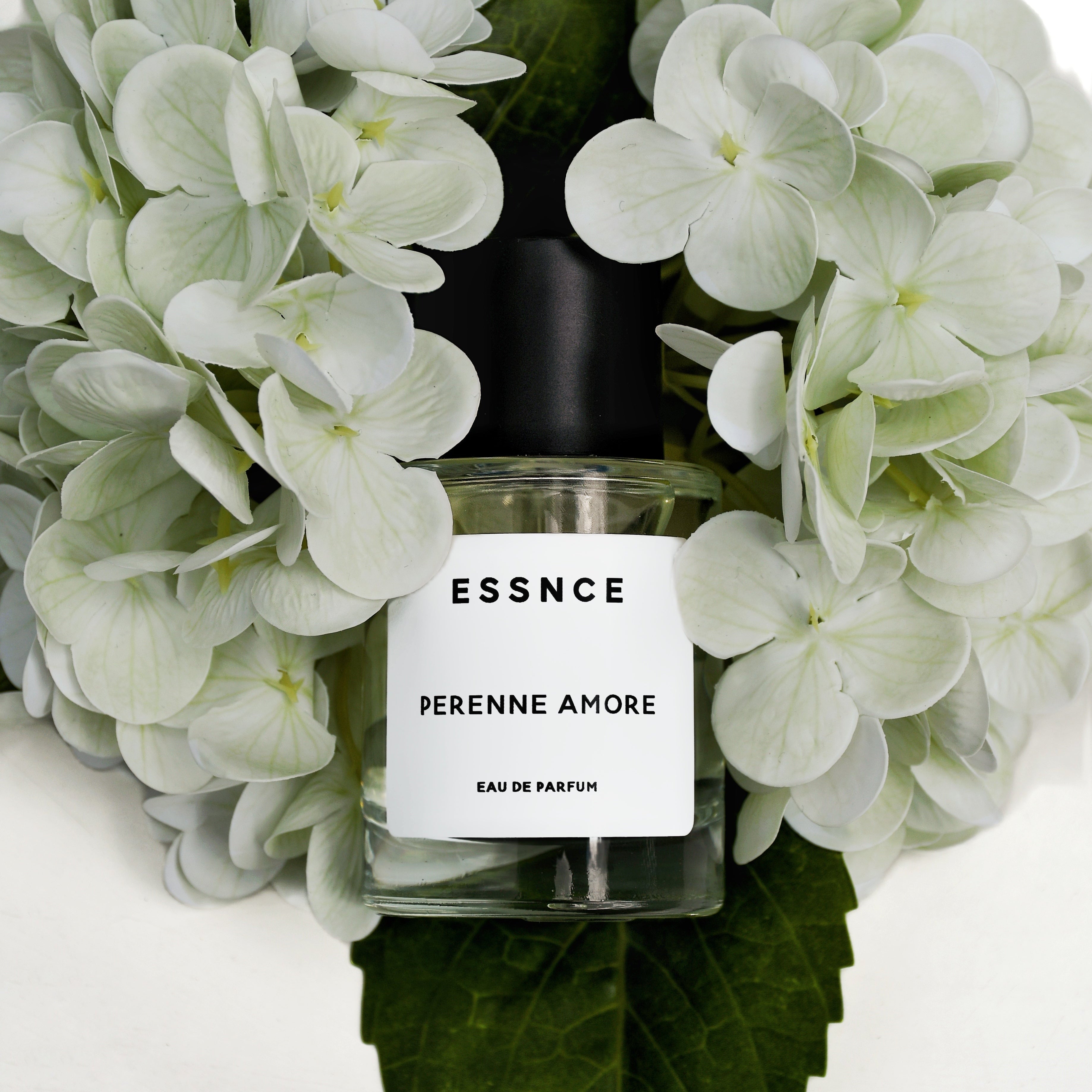 PERENNE AMORE